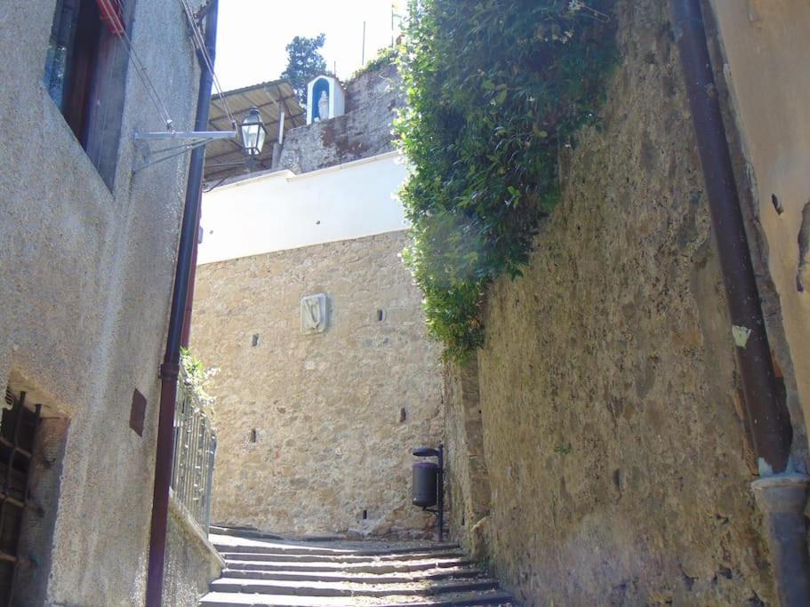 Rustico San Jacopo Villa Gallicano Eksteriør bilde